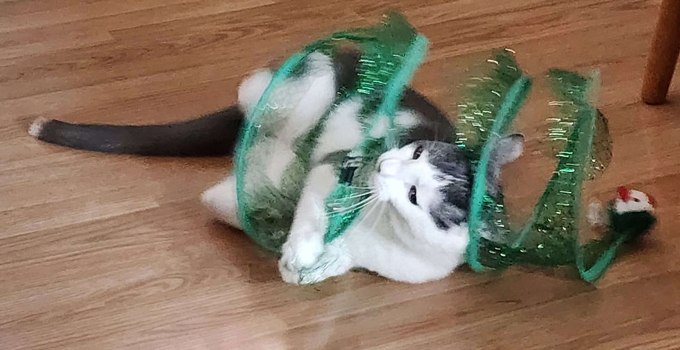"Un-paw me, foul spring!"