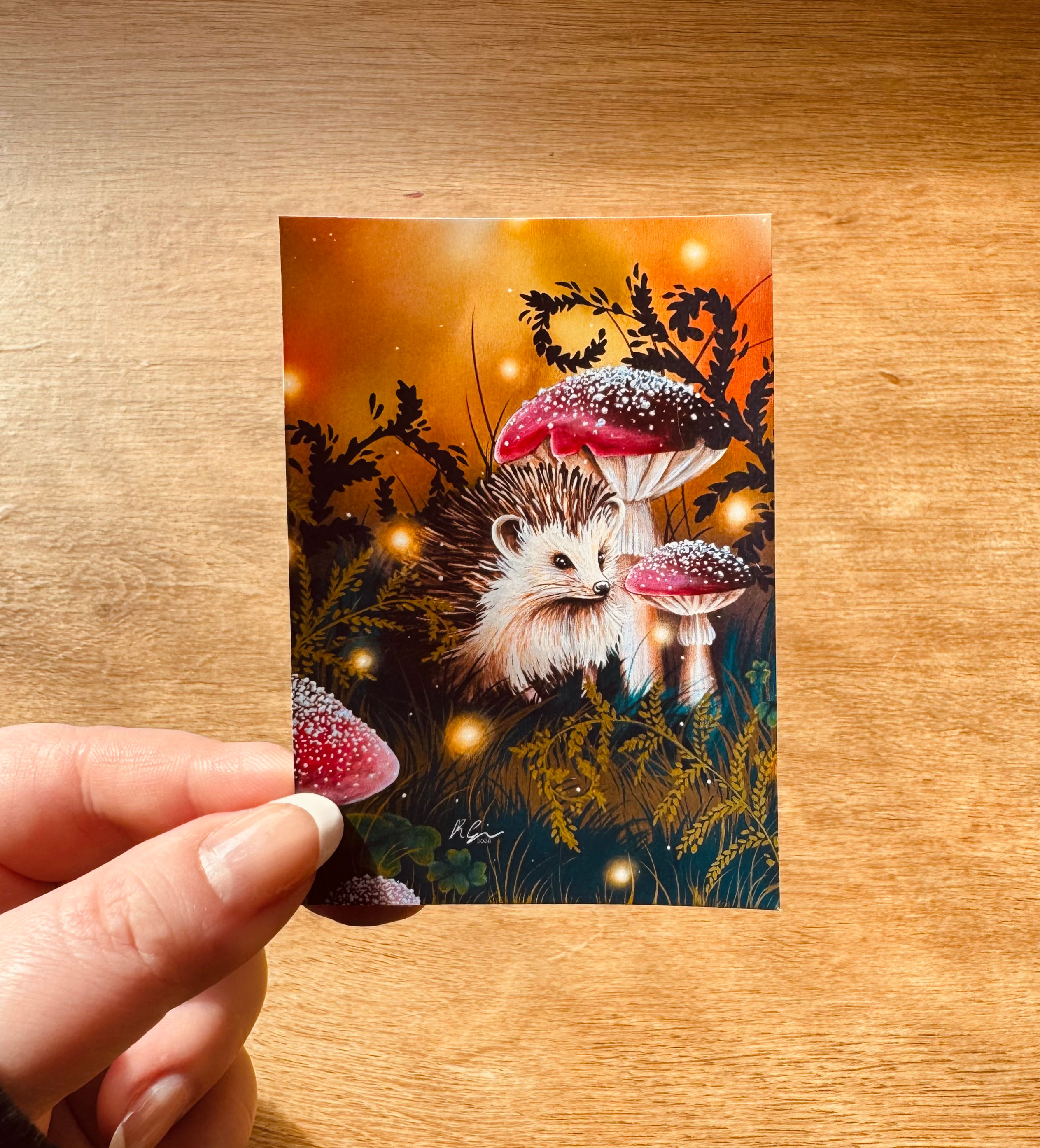 Herbie and the Hidden Toadstools - Sticker