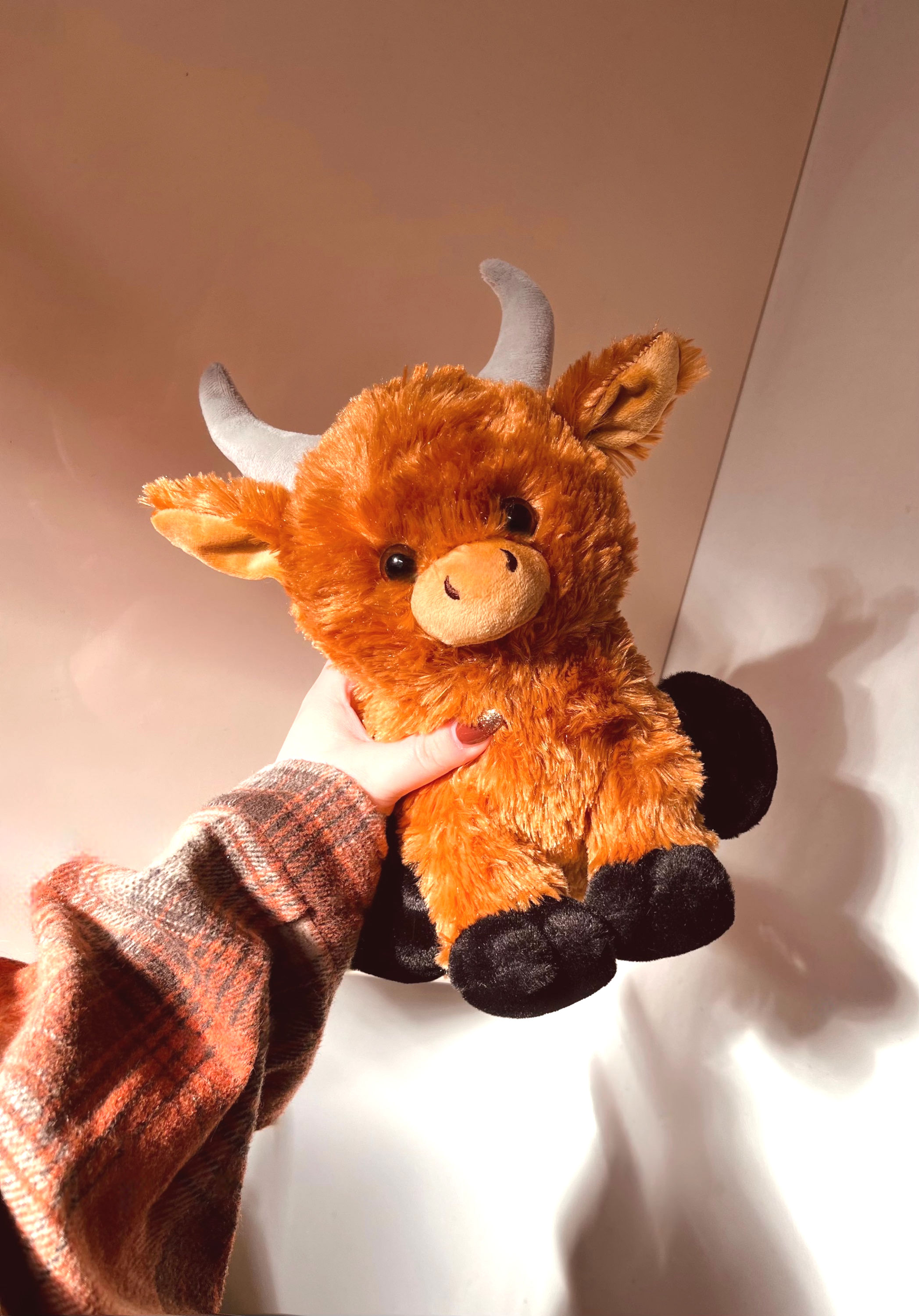 Huckle the Highland Cow - Plush Toy