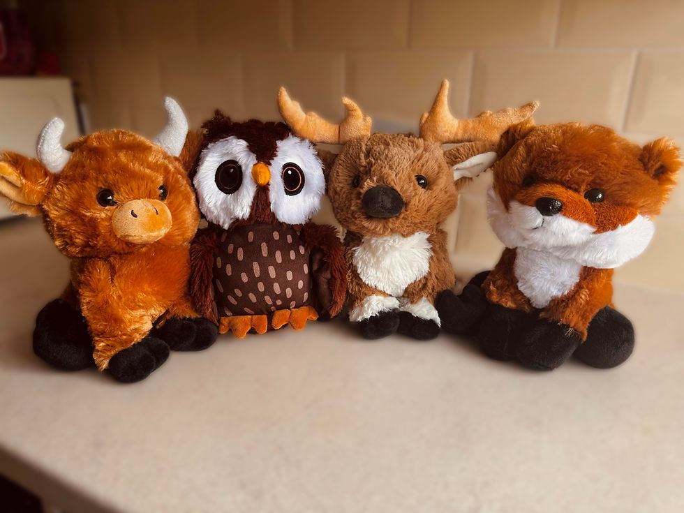 Thumbnail: Orchard the Owl - Plush Toy