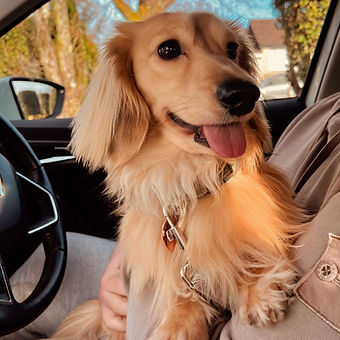 428286908_711329350864279_33483861128024