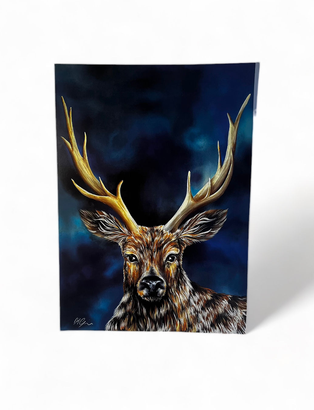 ‘Paton’ - A3 Print