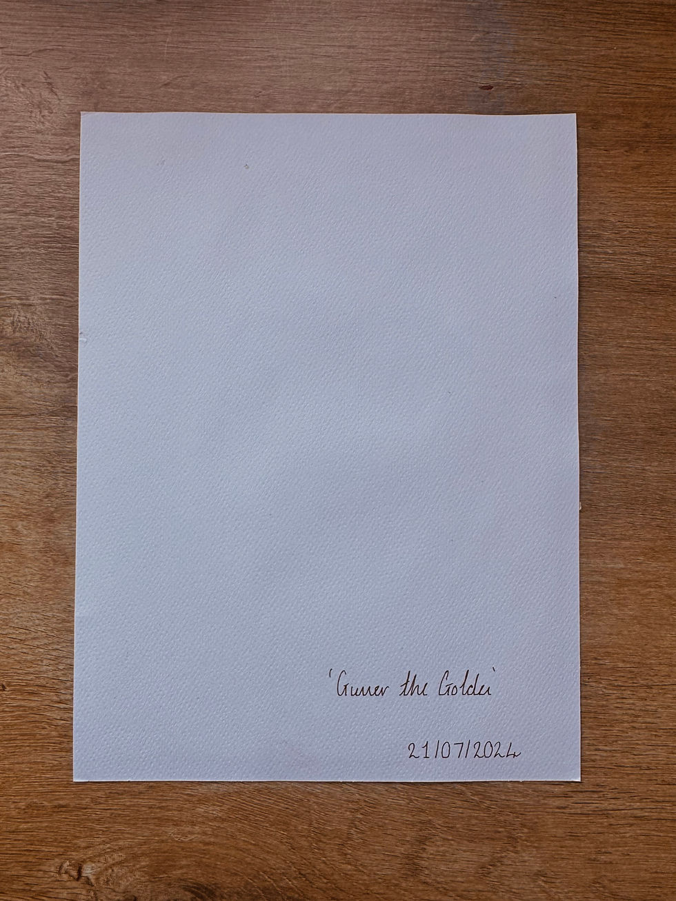 Thumbnail: Gunner the Golden - Original Artwork 