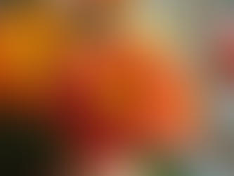 Como Escolher o Presente Perfeito com Nossas Flores