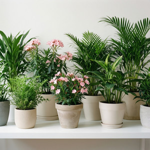 Product Catalog Enhancement