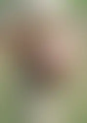 pregnant lady in a field