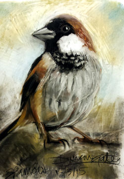 Sparrow