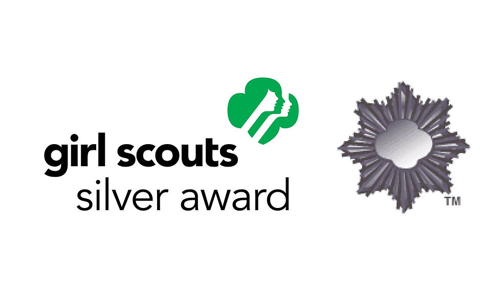 Silver Award.jpg
