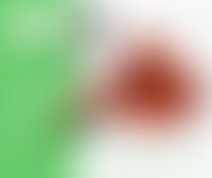 רלוונטיות בהדרכה: איך מתאימים המלצה מעשית לקהל יעד ספציפי?