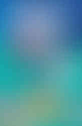 Matilda by Roald Dahl