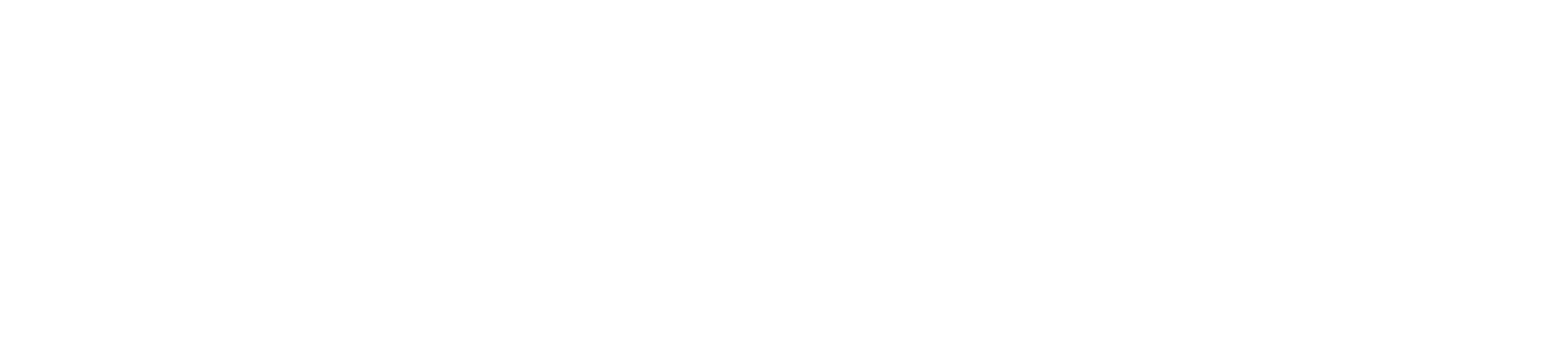 rootcamp_logo_white.webp
