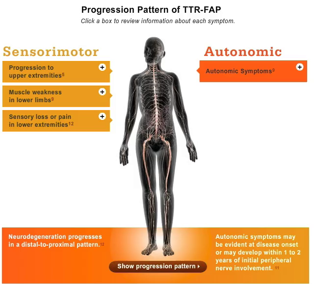 TTR-FAP