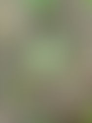 How do you practice grounding?