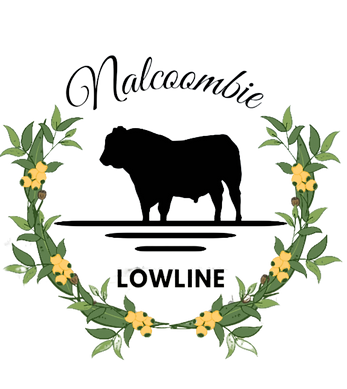 Untitled (Logo) (1).png