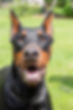 IMGP9006.jpg