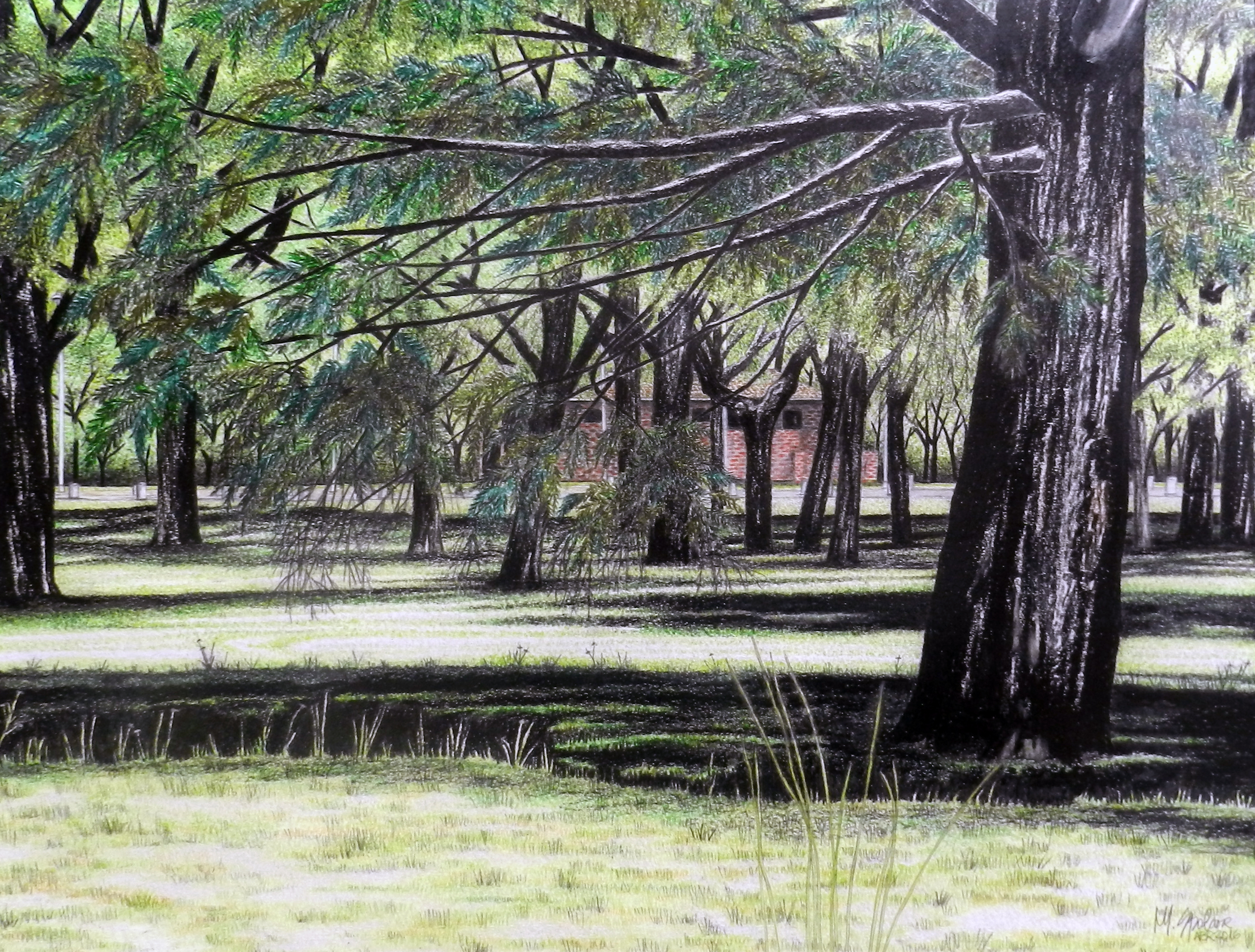 Praça em Carrasco II