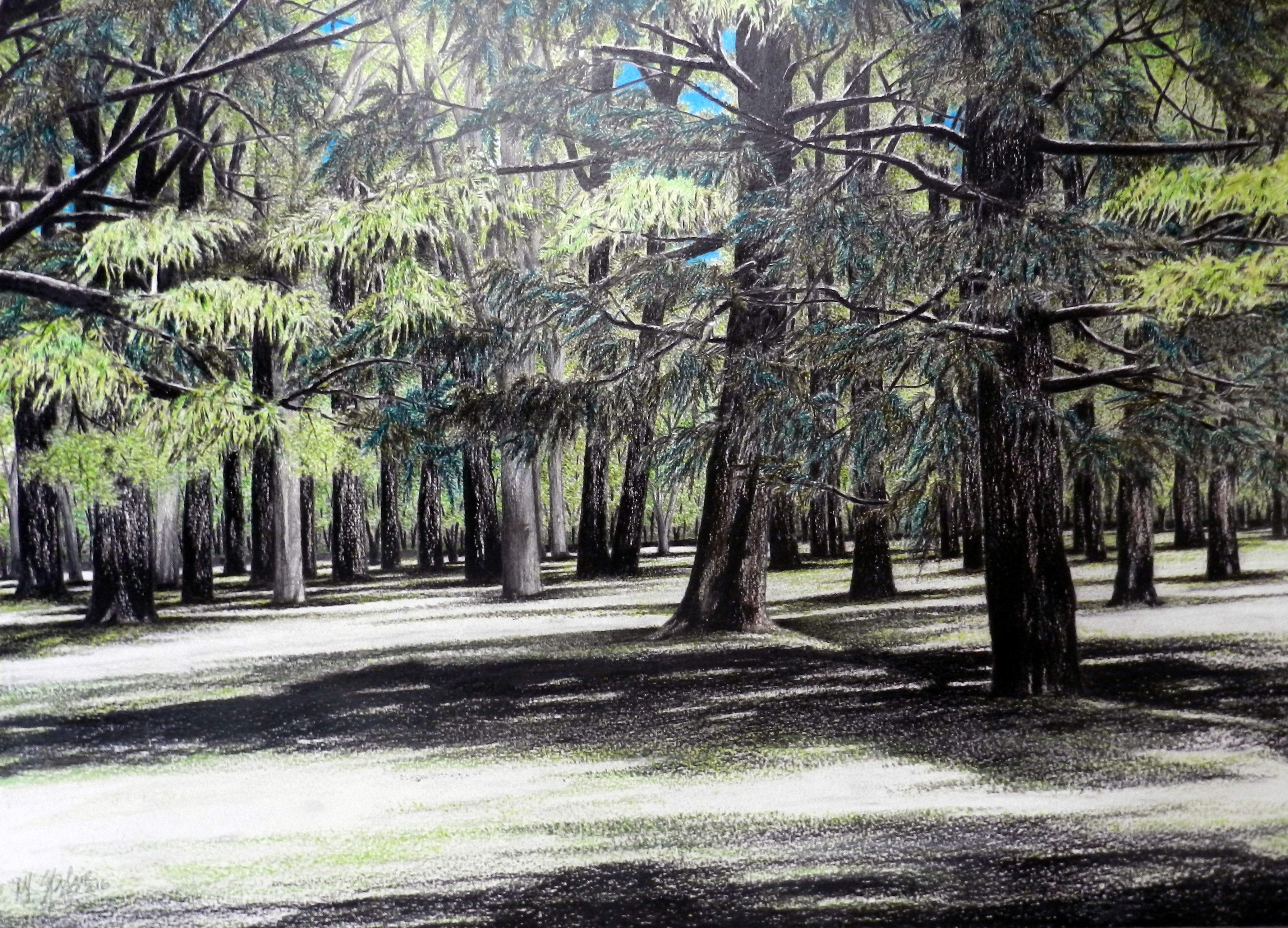 Praça em Carrasco I