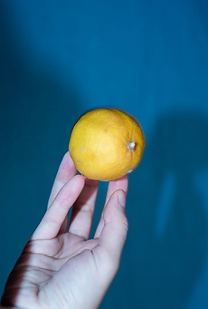 Screen Shot 2020-04-16 at 10.20.15 AM.pn