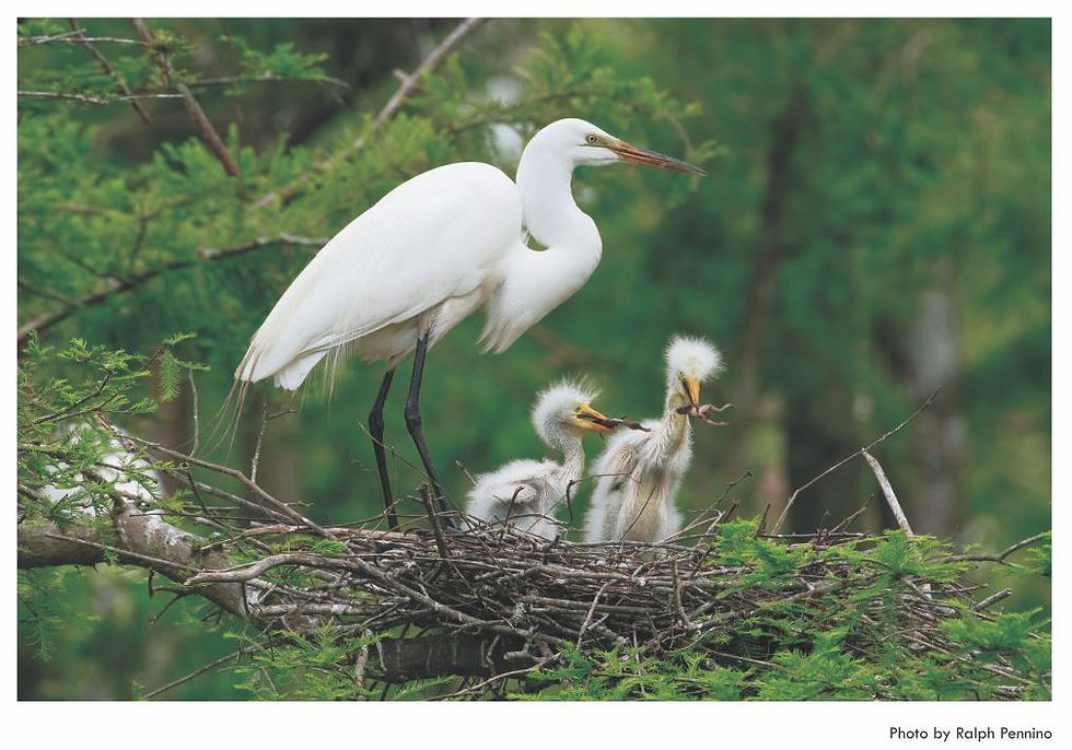 Thumbnail: 2021 Calendar