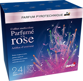 COMPACT PARFUME DE JOUR 24 DEPARTS