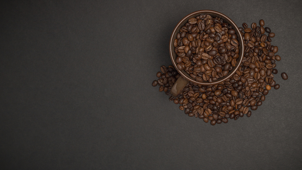 Projekt bez nazwy (2).png