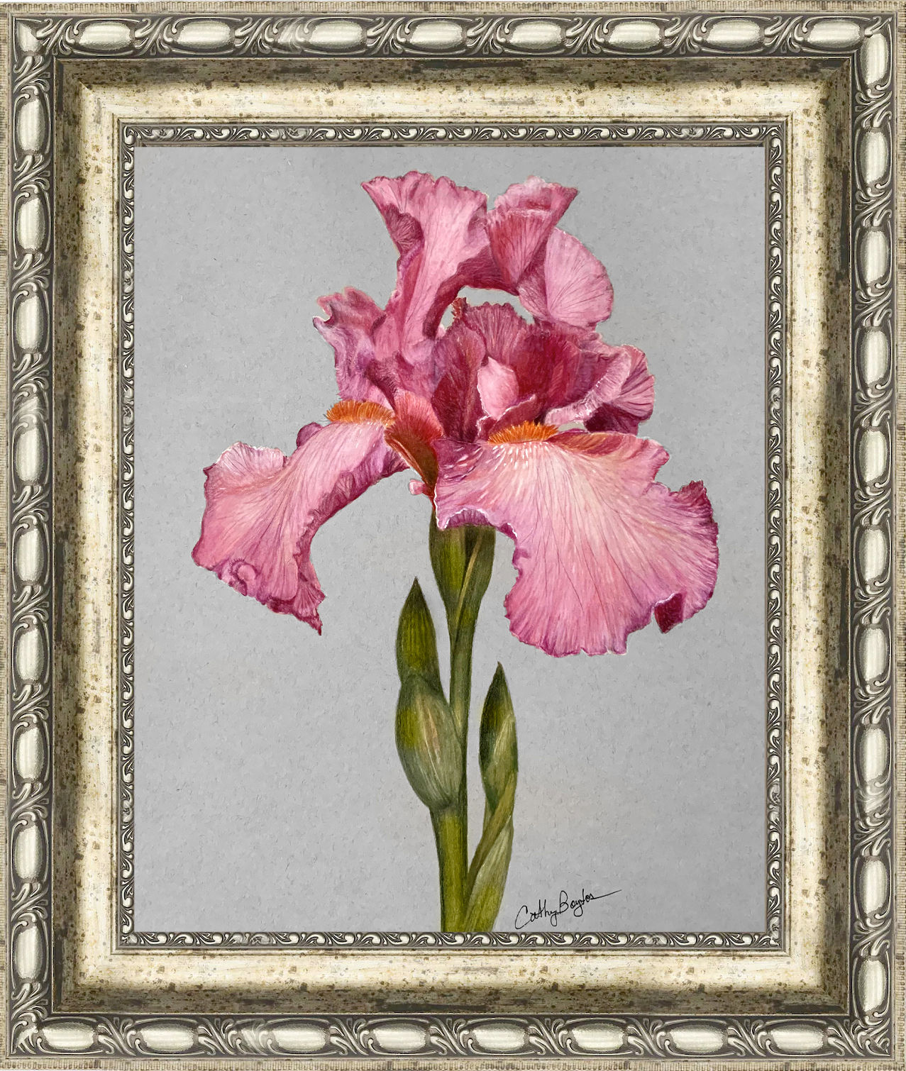 "Pink Iris"