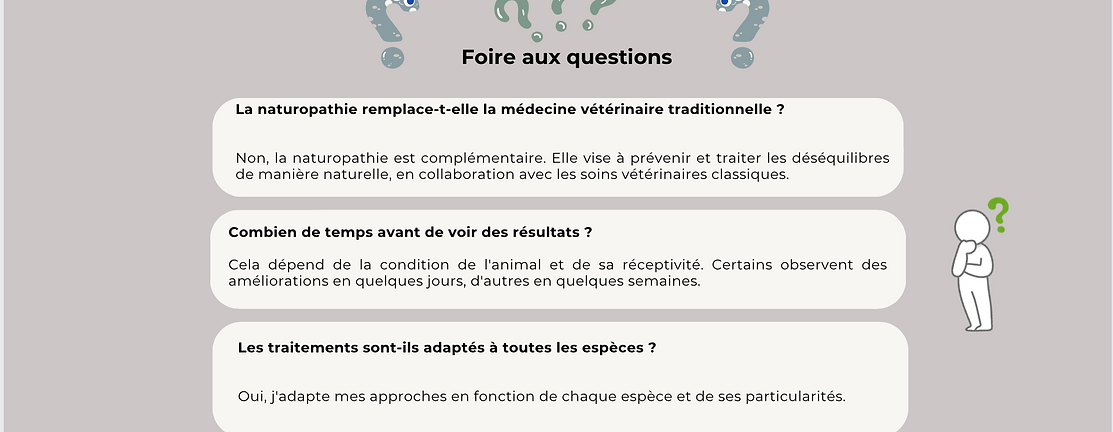 Sans titre.png