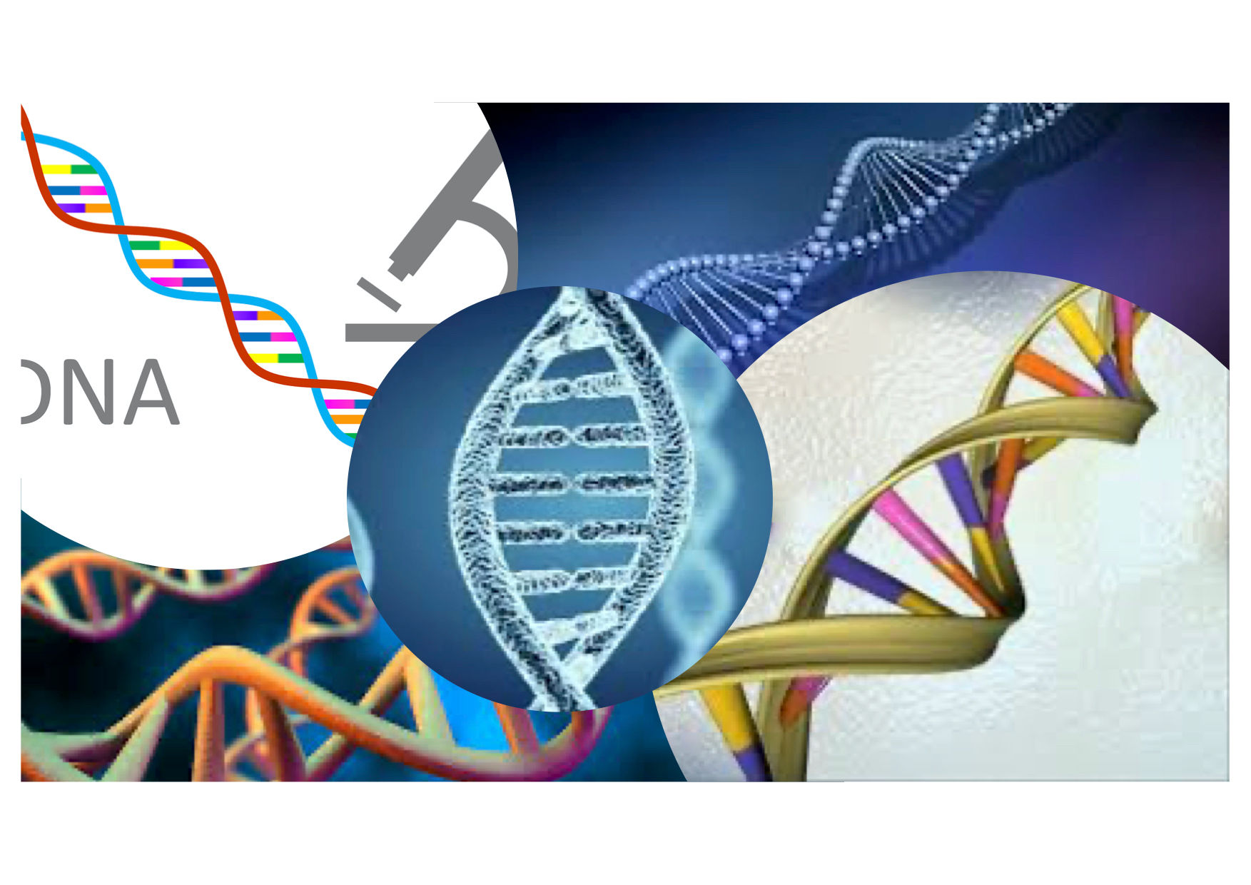 素因遺伝子検査