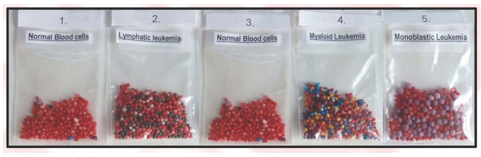 Cat#303 Leukemia student refill supplies