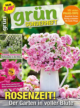 Abbildung eines grün Sonderheftes