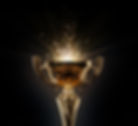 trophy image website.jpg