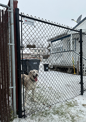 Chainlink Fence by A+ Fences in Winnipeg