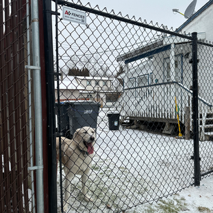 Chainlink by A+ fences in Winnipeg