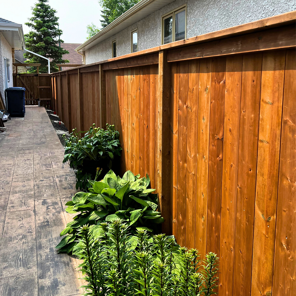 Tips for building a fence in Winnipeg