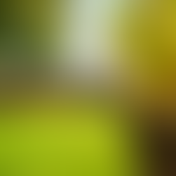 Fence Repair vs. Replacement: What’s Best for Your Winnipeg Home?