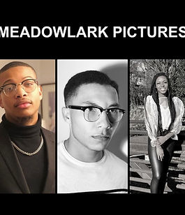Meadowlark Pictures