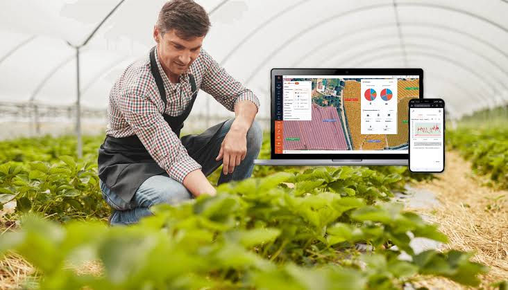 [ENG] Precision Irrigation and Fertigation: The Future of Blueberry Production