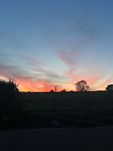 IMG_1715.jpeg
