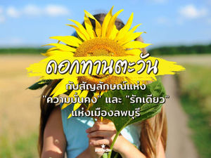 ดอกทานตะวัน🌻 กับสัญลักษณ์แห่งความมั่นคง รักเดียว❤️ แห่งเมืองลพบุรี ที่ไม่ได้มีดีแค่ประวัติศาสตร์