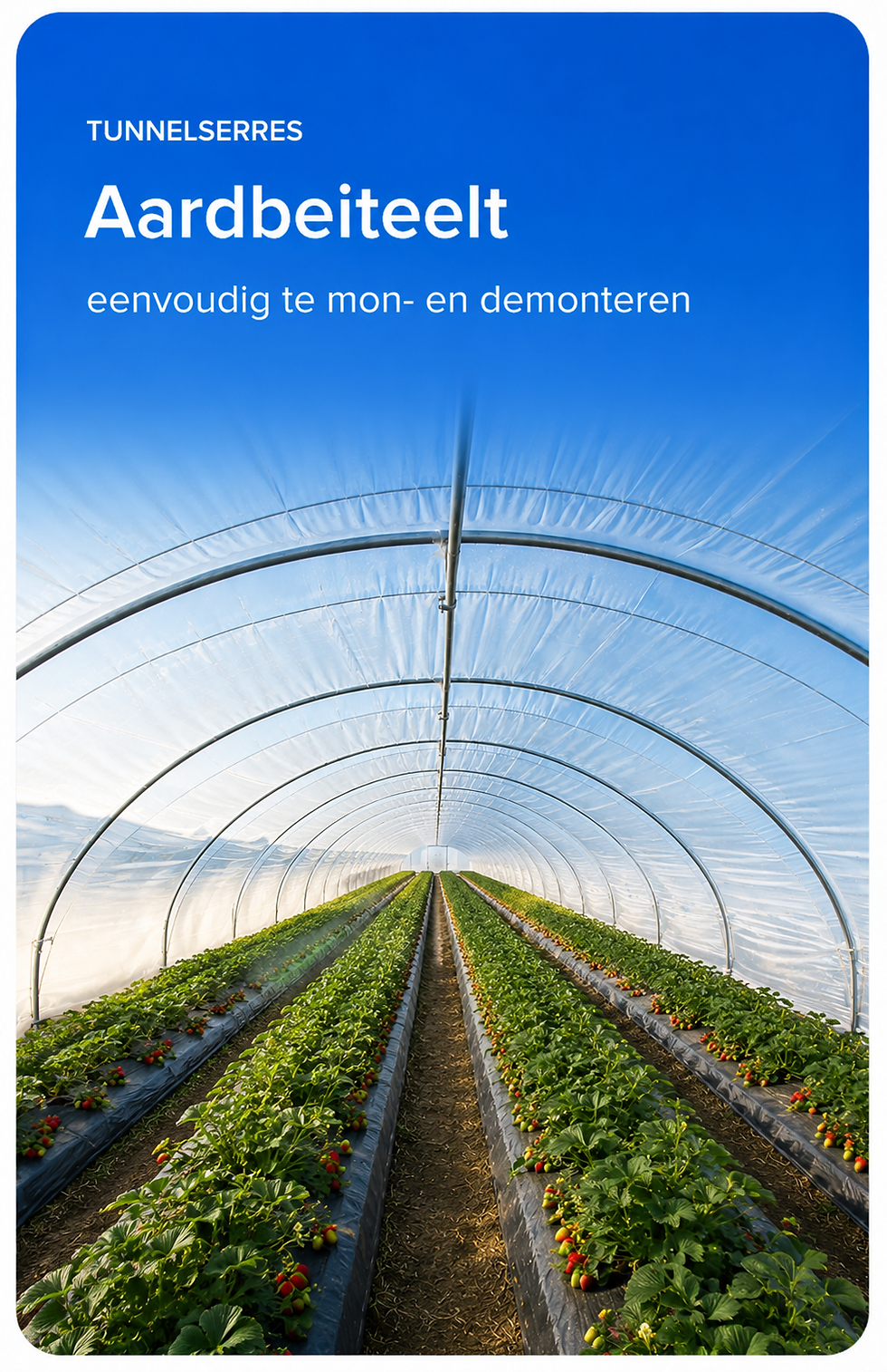 ChatGPT Image 13 mei 2026 16_44_55.png