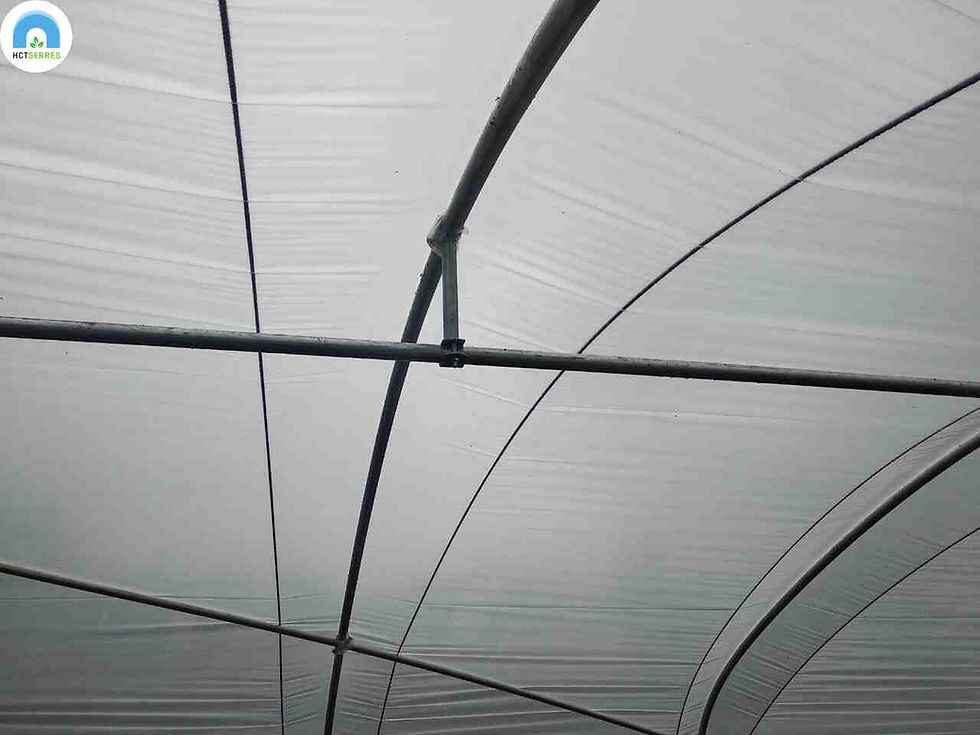 aardbeitunnel 5.jpg