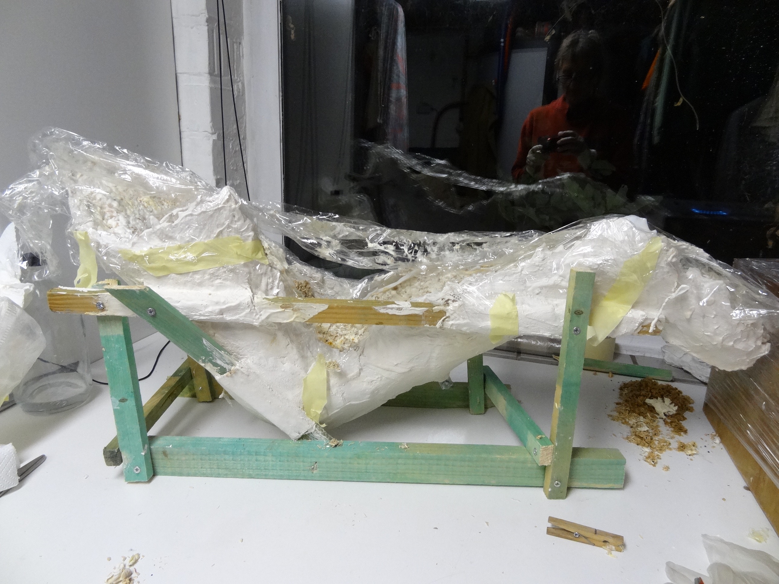 9leg with mycelium copy