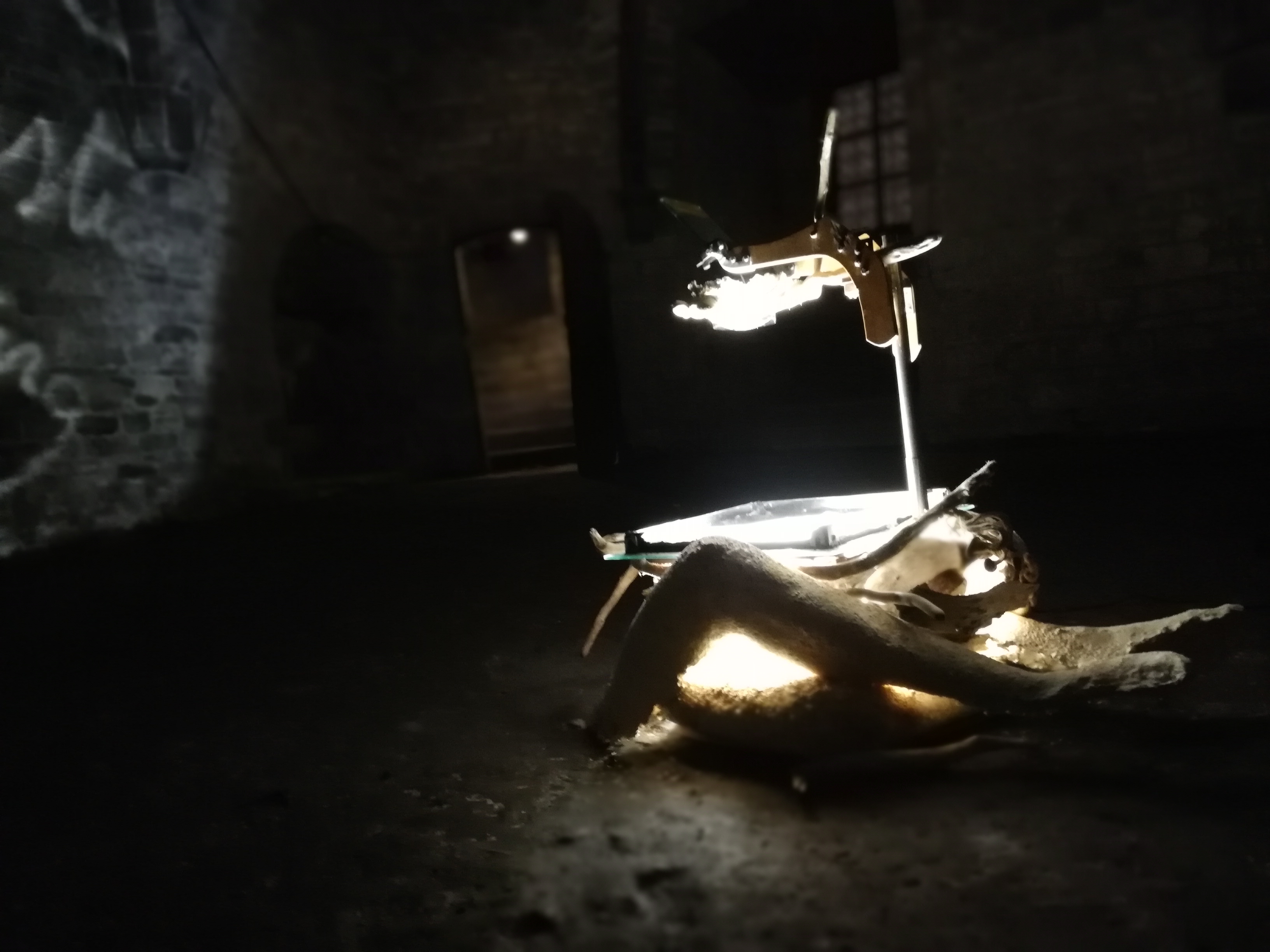 mycelium leg projector