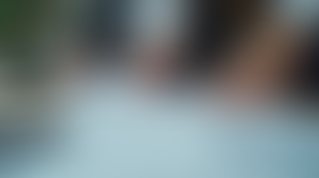 Your Ultimate LLC Operating Agreement Guide: Creating an Operating Agreement for Your LLC in NC