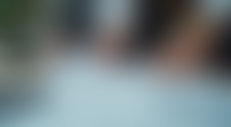 Your Ultimate LLC Operating Agreement Guide: Creating an Operating Agreement for Your LLC in NC