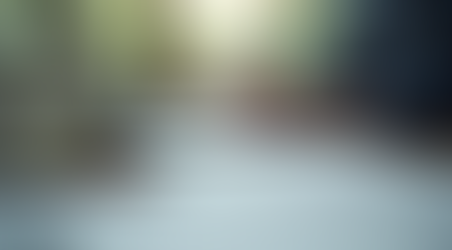 Understanding Registered Agent Services in North Carolina