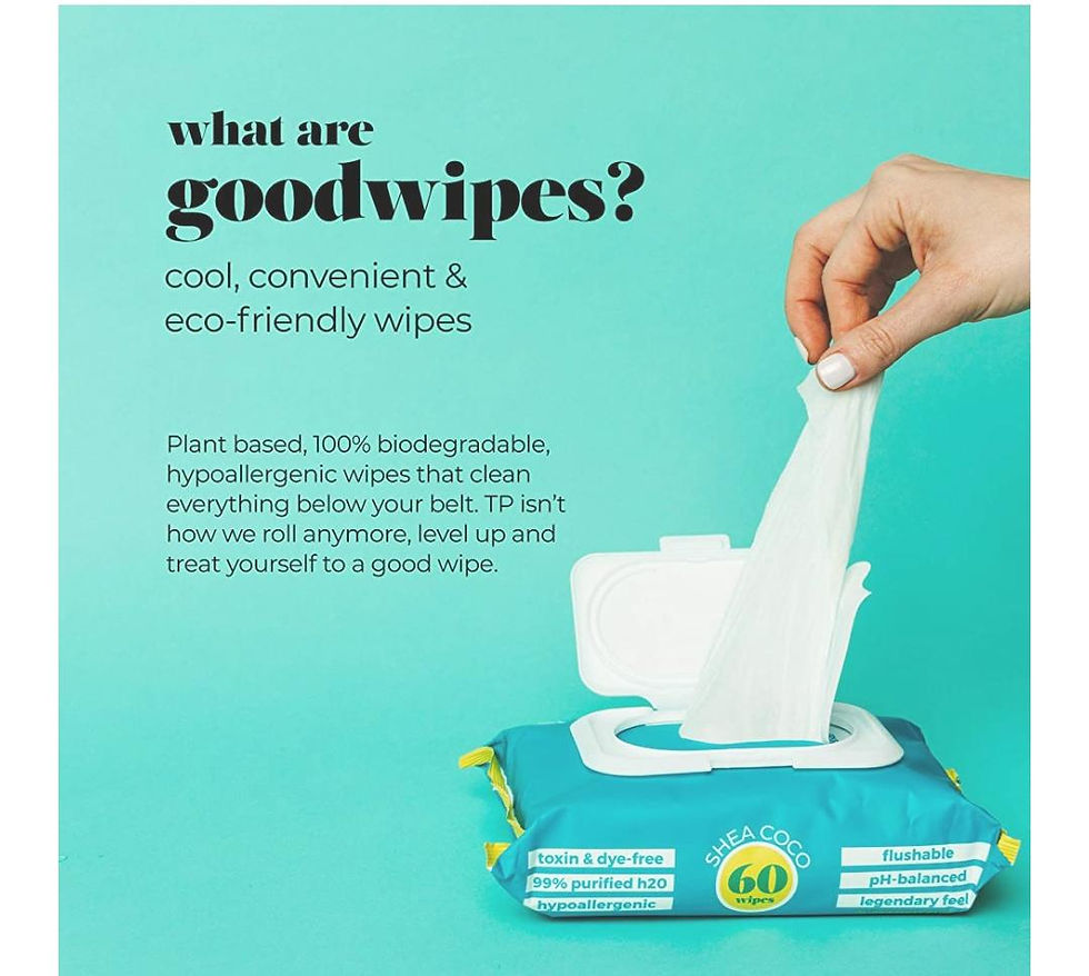 Goodwipes Wet Wipes, Shea Coco Scent, with Re-Sealable packaging, Flushable and