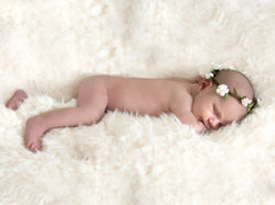 Poppy_0046