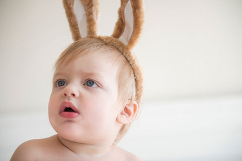 bunny2-r.jpg