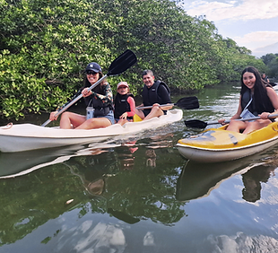 tour manguezais kayak paraty (1).png